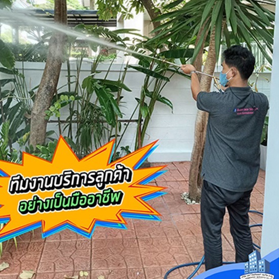 บริษัทกำจัดปลวก บางบัวทอง บริษัทกำจัดปลวก บางบัวทอง