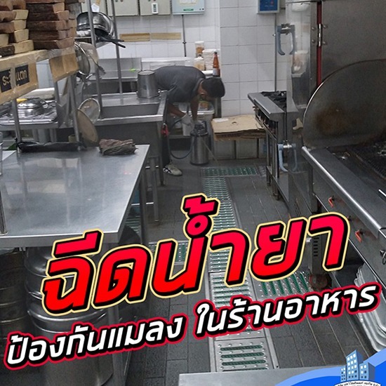 บริการฉีดน้ำยาป้องกันแมลงรบกวน บางบัวทอง