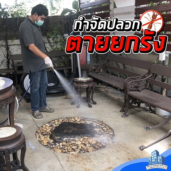 กำจัดปลวก บางบัวทอง เอส วี โฮมอินเตอร์ - กำจัดปลวกตายยกรัง บางบัวทอง