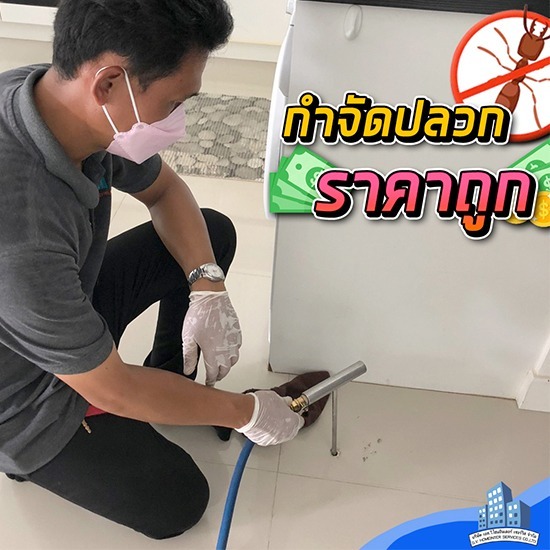 กำจัดปลวก บางบัวทอง เอส วี โฮมอินเตอร์ - กำจัดปลวกนนทบุรี ราคาถูก